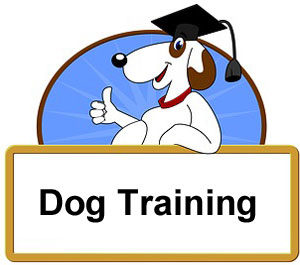 Dog Training Texas
